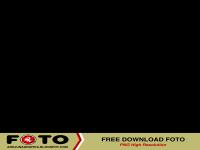 PNG - SAPI VECTOR.png