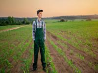 quality restoration 20241109045621546.jpg