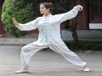 Auspicious Pattern Silk Blend Women s Traditional Chinese Tai Chi Suit.jpg