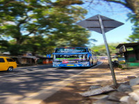 afterfocus 1711875531185.jpg