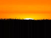 lv 0 20240404064108.gif