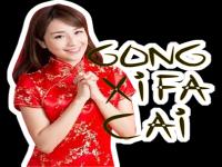 gong xi.png