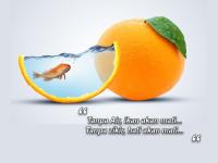 ikan.jpg