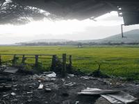 quality restoration 20241011180716359.jpg