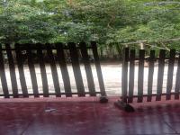 IMG-20241109-WA0000.jpeg