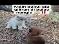 IMG 20241215 181030.jpg