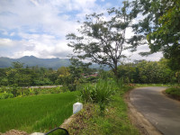 IMG 20250101 181151.jpg