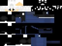 Req Skin Sel5k.png