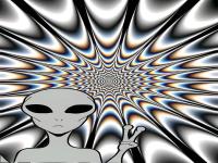 Snaptik.app 745768536393122125424.jpg