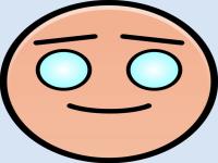 Enlightened Balanced.jpg