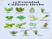 Jenis Jenis Daun Herbal.jpg