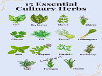 Jenis Jenis Daun Herbal.jpg