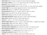 Cit4.png