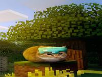 KUCING POSE ROTI HELM MINECRAFT.jpg