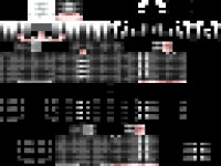 skin00007.png